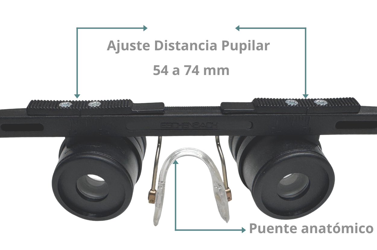 Lupas Ridomed Germany